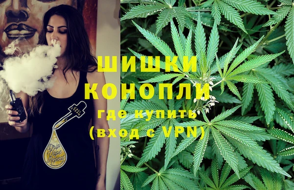 дмт Горно-Алтайск