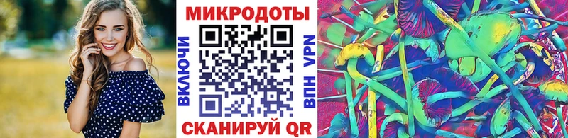 Псилоцибиновые грибы прущие грибы  Купить закладки  Опочка 